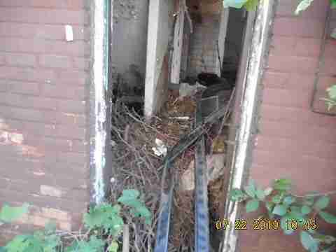 3793 Montgomery (8)_m.jpg